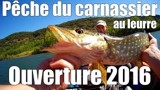 Pêche au leurre - Ouverture Carnassier 2016 - Brochet et Perche