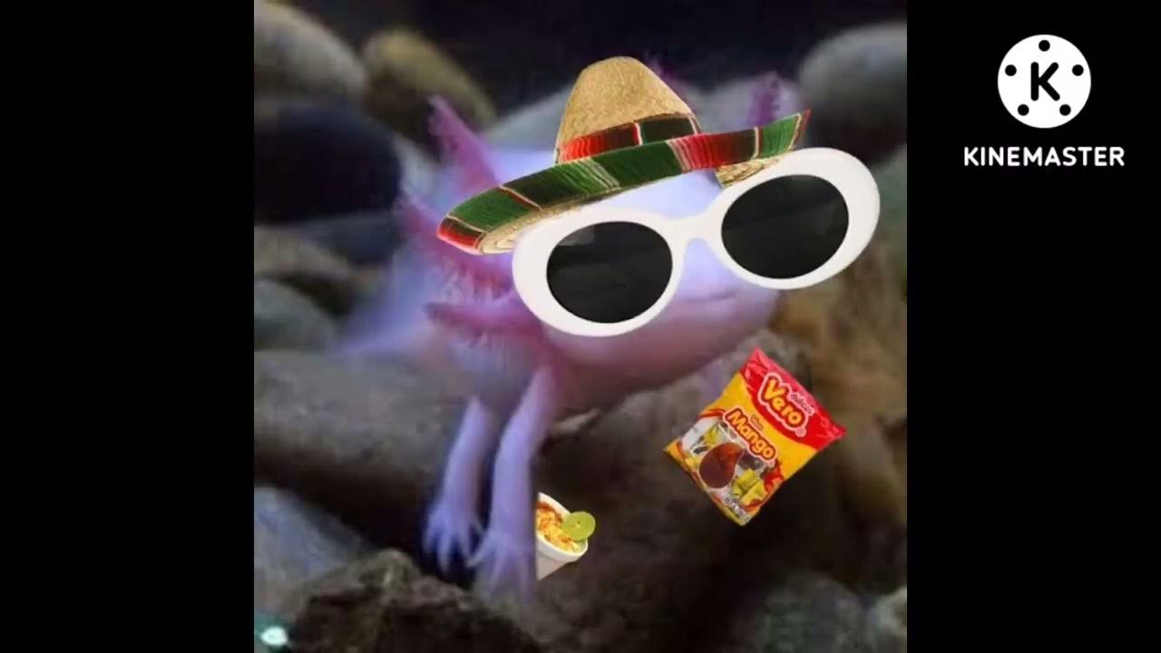 LA SANTA GRIFA -NO SE QUE PASO (+_+) - YouTube