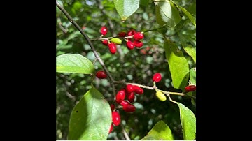 Season 1 Episode 28: Hugh Weldon and Dan Bangert with The Professional Grounds Management Society