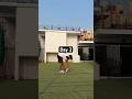 Day 2 Documenting my discipline #viral #vlog #explore #minivlog #for you