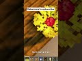 Minecraft: New Food Build Hack! | #shorts