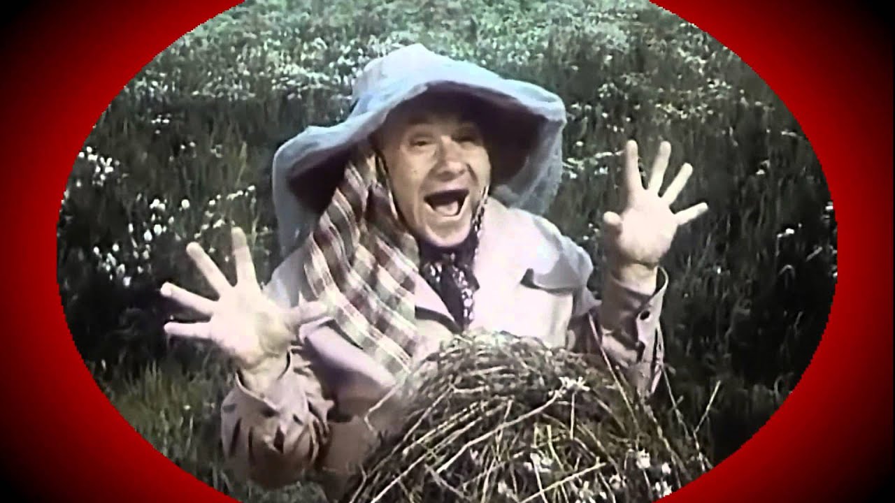 Алиса Кожикина - "Шапочка" - YouTube