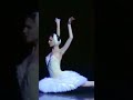Ballerina turns her arms backwards. Zakharova IS a swan!