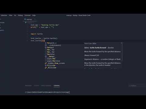 Python tips & Tricks- How to make a python turtle circle