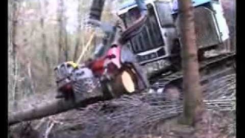 Log Max 5000 on Timbco