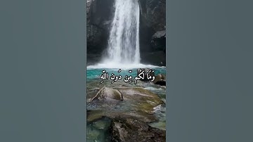 تلاوة تهز القلوب للقارئ الشيخ | ناصر القطامي #قران_كريم