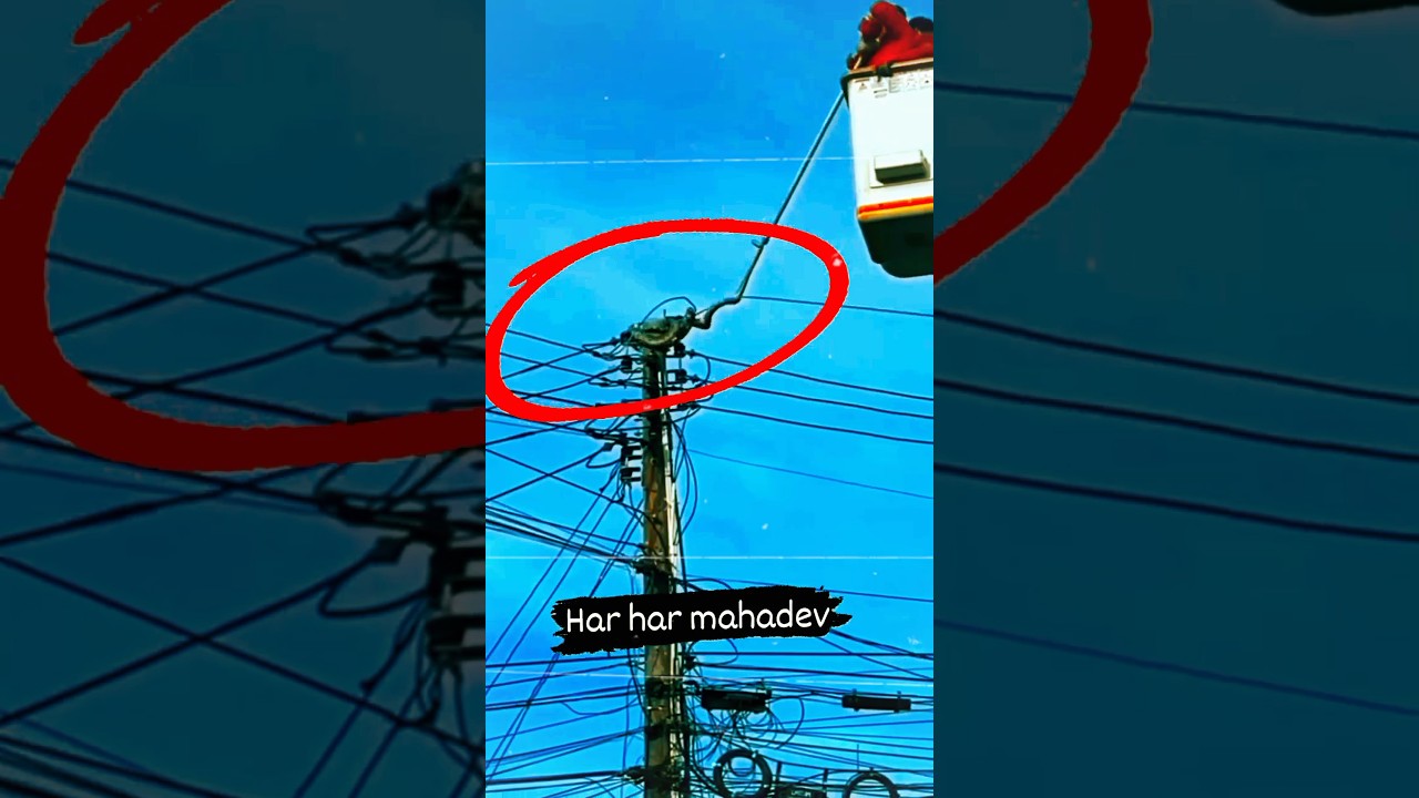 O😱 किया था ये🤔 