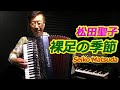 裸足の季節 - ノリーヌ・ディオン 長坂憲道 Accordion Cover アコーディオン カバー