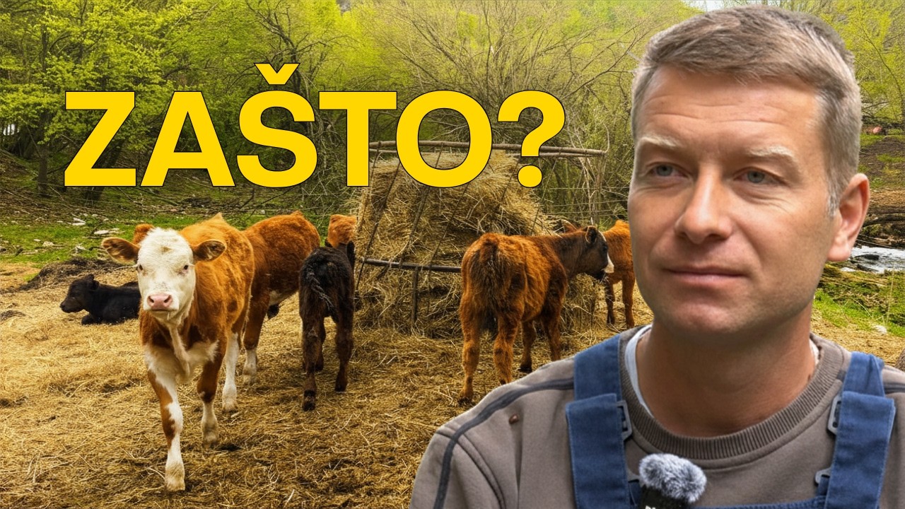 Bio je student generacije. Napustio je Ameriku i vratio se među vukove!