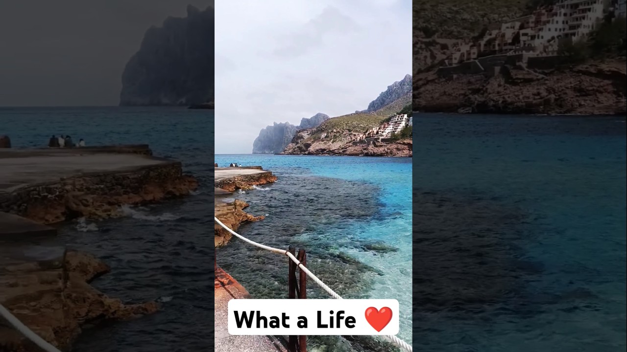 Pursuing The Dream 💯💪☀️🌴 