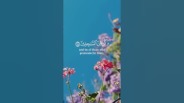 سورة الحجر #قرآن #قران_كريم #ناصر_القطامي #العرب #راحة_نفسية #اكسبلور #سورة_الحجر