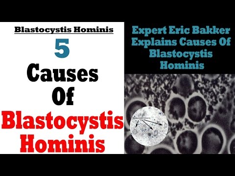 Video: Blastocystis koertel