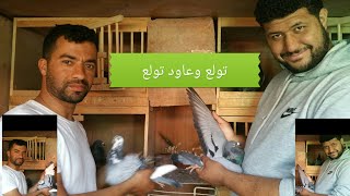 تولع وعاود تولع مع الطانديم رزقي / القطري