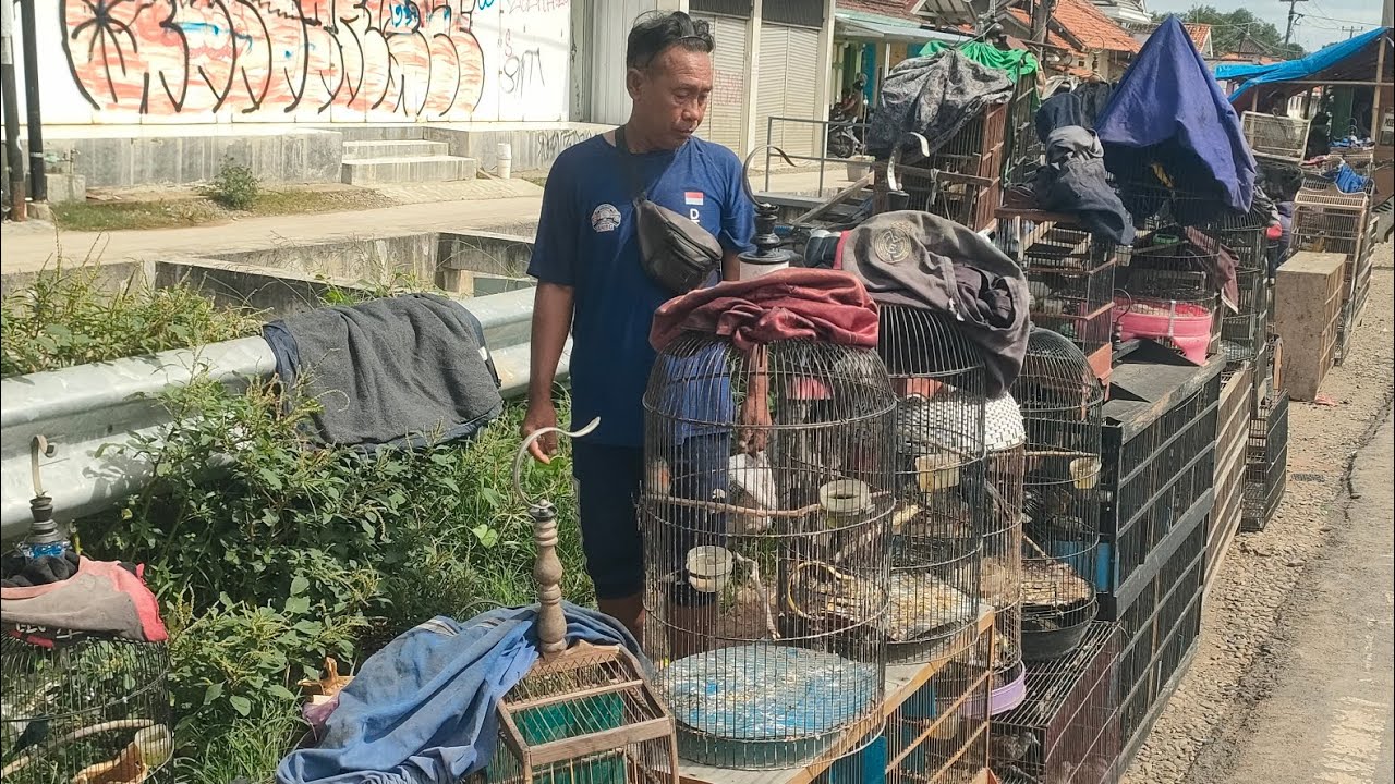 BAPAK NYA BAWA BURUNG RAWATAN DARI KAMPUNG KE PASAR BUAT BELI KOLEK BUKA PUASA 