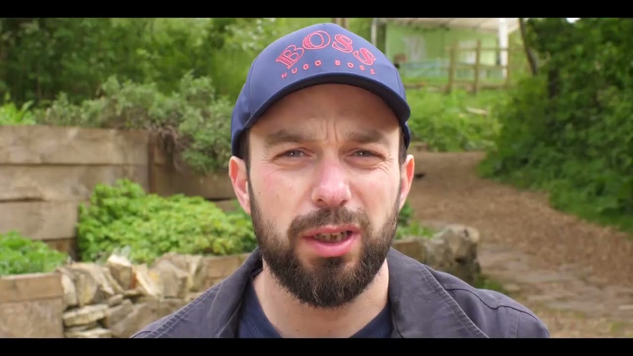 Green Social Prescribing for Refugees and Asylum Seekers by Bristol Mind and St Werburghs City Farm