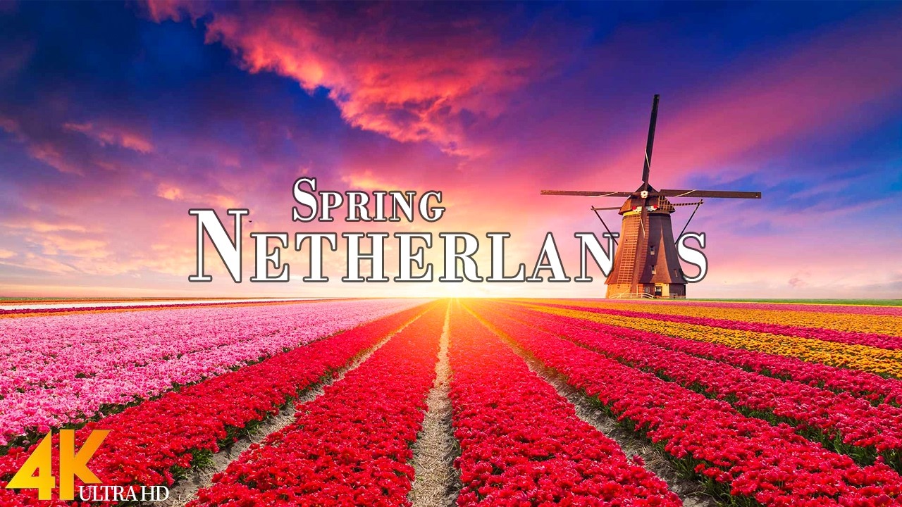 Spring Netherlands 4K Ultra HD • Stunning Footage, Scenic Relaxation Film with Calming Music.