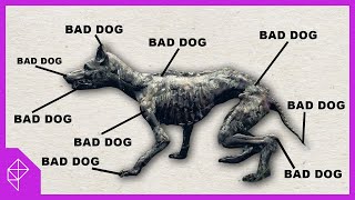 I Hate Dogs In Elden Ring