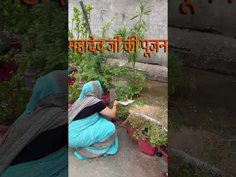 Rakha Kya Hai Tere Mere Shehron Mein? #minivlog #short_video #trending