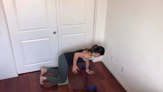 Quadruped Single Arm Row
