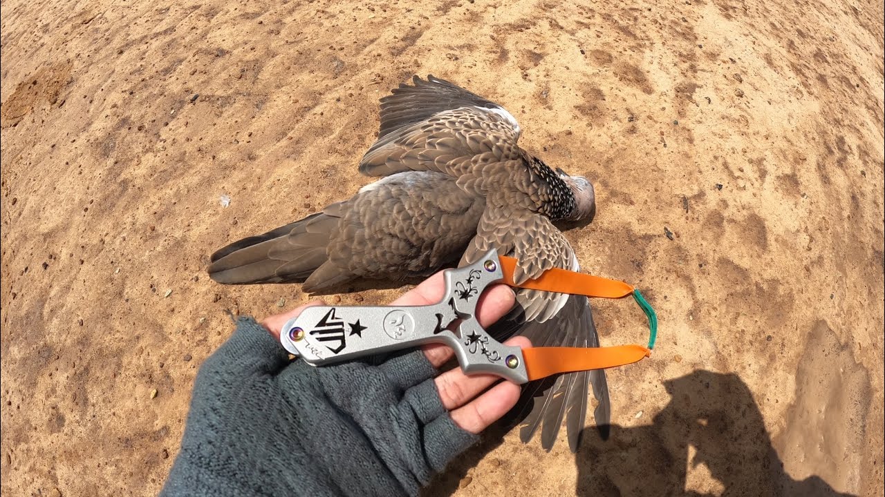 Slingshot M72 - Săn Cùng Ná Thủ Vĩnh Vs Những Pha Ăn Dây Điện Hìa Hước