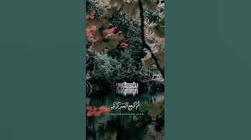 تلاوة رائعه من الشيخ ماهر المعيقلي  من سورة الملك #قرآن #قران_كريم #المصحف #راحة_نفسية