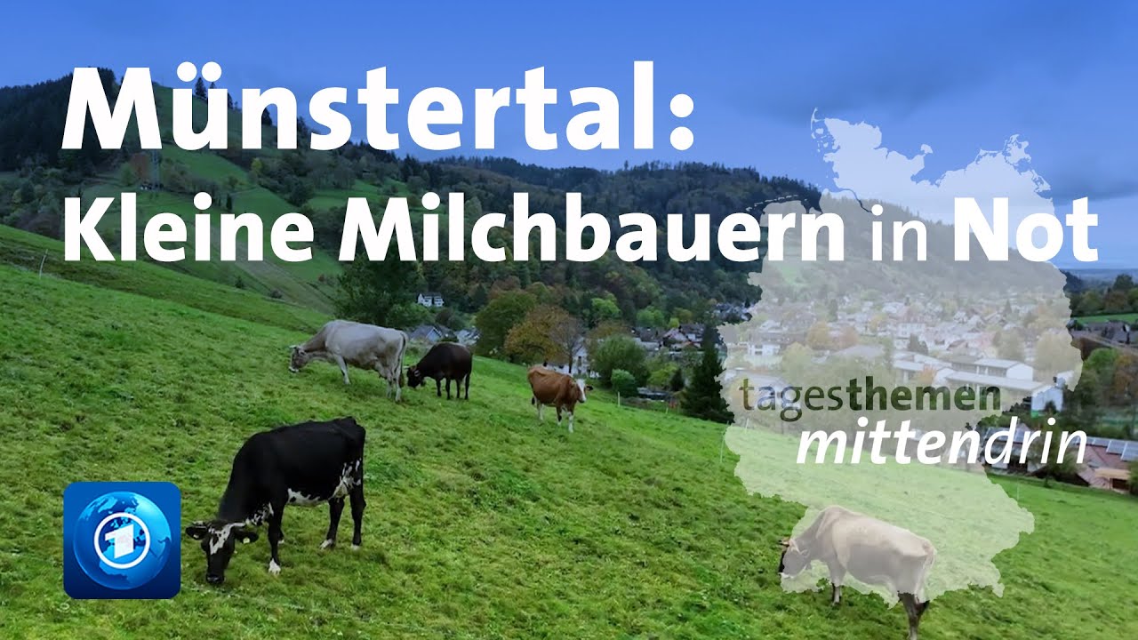 Münstertal: Kleine Milchbauern in Not | tagesthemen mittendrin