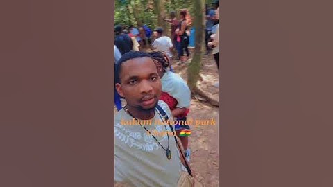 Visit to Kakum national park Ghana