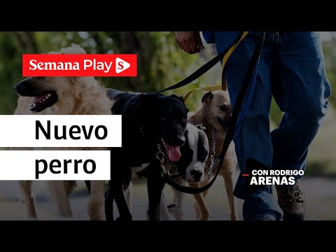 Nuevo perro en la manada | Rodrigo Arenas en EduCANdo Manadas