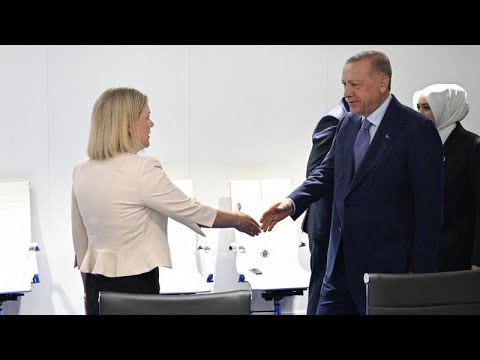 Turquía levanta el veto a la entrada de Suecia y Finlandia a la OTAN