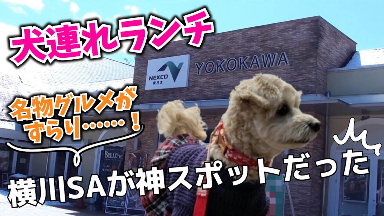 【犬連れランチ】犬連れにオススメ横川サービスエリア下り 