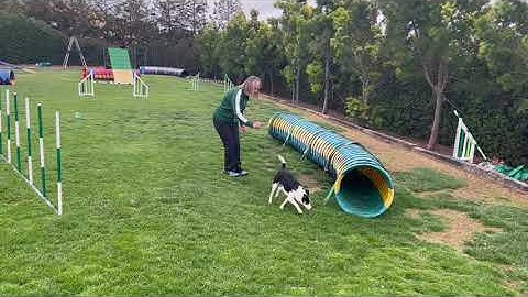 Reinforcement Resets with Nancy Gyes