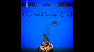 قرآن كريم #اكسبلور #المصحف #دويتو #القزابري #duet #صباح_الخير #الرحمن #العظماء #لايك #يصلك