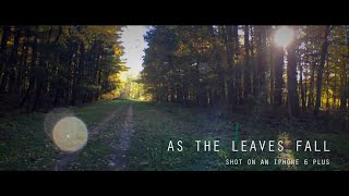 AS THE LEAVES FALL- A Short Documentary Film by Kyle Nichols