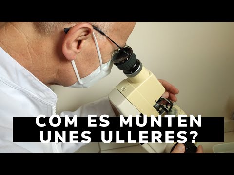 Vídeo: Com es munten els contigs en bastides?