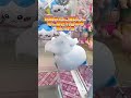 プロ公認のぬいぐるみ裏技！？なのか？…