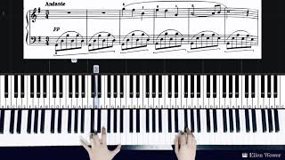 The Swan | Camille - Saint - Saens | from the Piano Pieces for Children Resimi