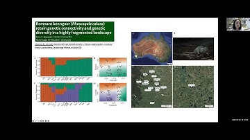 Seminar 13: Genetic Diversity in Spatial Conservation Planning