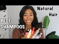 BEST SHAMPOOS FOR HAIR GROWTH |ChimereNicole