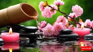 Live Stream SERENITY FLOW MUSIC