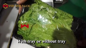 Food Wrapping Machine with Stretch Film/Automatic food tray wrapper/Cling film wrap machine video