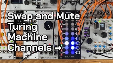Using Exchange to Swap or Mute Channels with Turing Machine modules