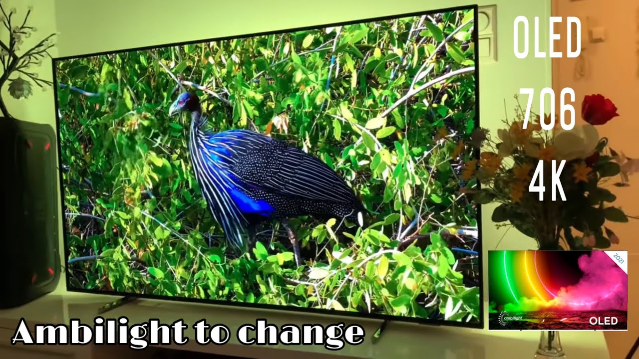Ambilight test - philips OLED 706 with Animal video - YouTube