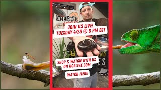 Underground Live: Tails And Scales Tuesday!!