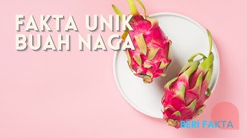 5 Fakta Unik Buah Naga