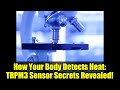How Your Body Detects Heat: TRPM3 Sensor Secrets Revealed!