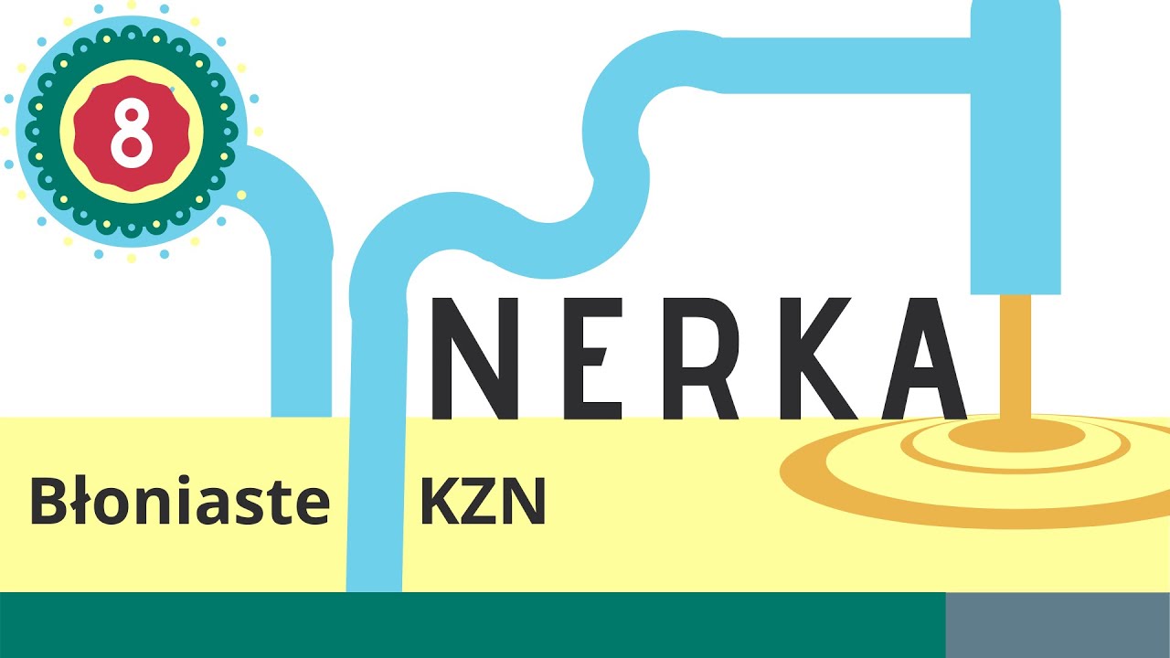 Nerka 8: Błoniaste KZN — Transcript