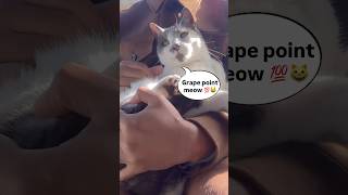 Download Lagu Here’s a #newyear #resolution to try 🫶🏽🌞 MP3