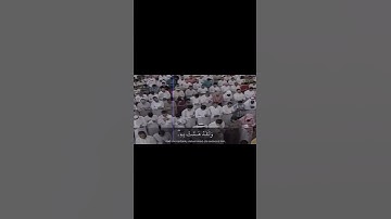 الشيخ ياسر الدوسري سورة يوسف القران الكريم #القرآن_الكريم #الرحمن #الرحمن_الرحیم_المالک