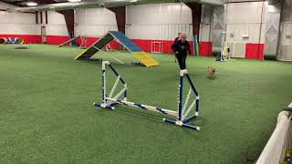 IMG 3903