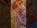 Blippi Visita a Casinha do Cão de Guarda! 🐶 #shorts #blippi #animais